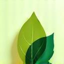Eco-Conscious Practices